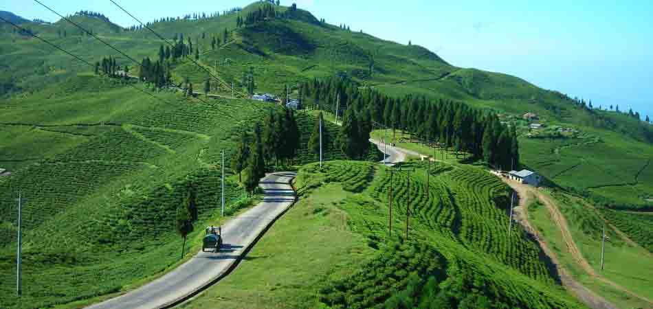 gangtok-–-darjeeling