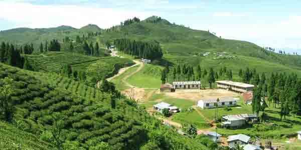 gangtok-–-darjeeling